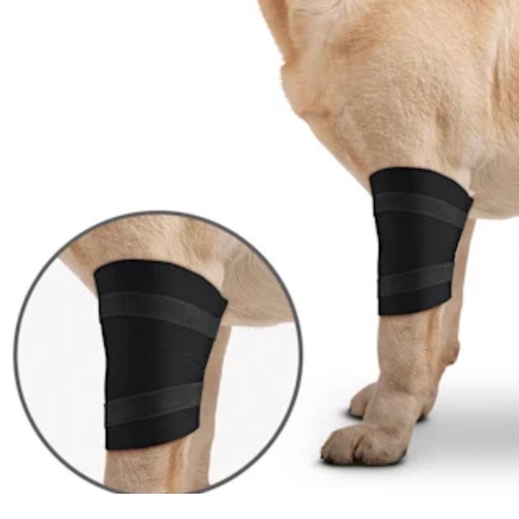 BRAND NEW ZenPet OrthoWraps Elbow Compression Wrap for Large size Dogs - Picture 5 of 7